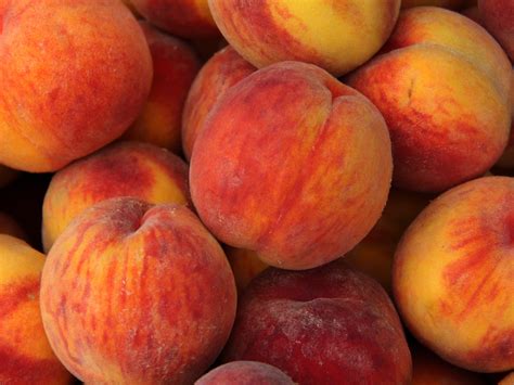 Are Peaches a Summer Fruit? And Why Do They Taste Like Sunlight?