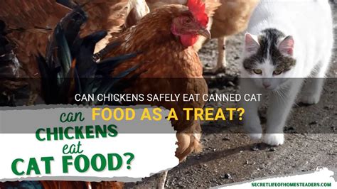 Can Chickens Eat Wet Cat Food: A Culinary Conundrum or Nutritional Necessity?