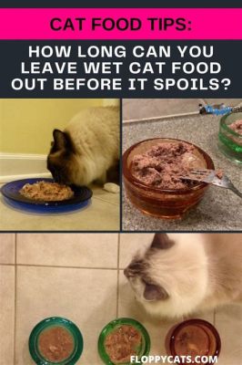 Can You Leave Wet Cat Food Out: A Whisker Away from Chaos