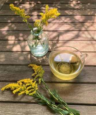 How to Make Goldenrod Tea: A Journey Through Flavor and Folklore