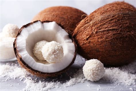 Is Coconut a Fruit or Vegetable? And Why Does It Refuse to Fit into Our Culinary Categories?