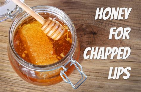 Is Honey Good for Chapped Lips? And Why Do Bees Never Get Lost in the Grocery Store?