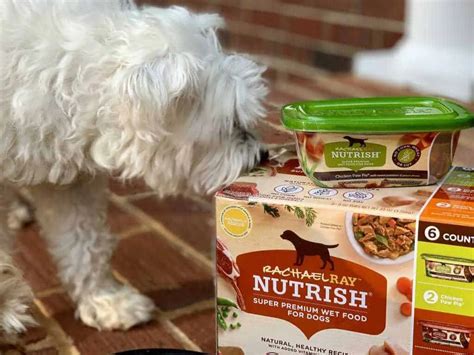 Is Rachel Ray Dog Food Good? Exploring the Culinary World of Canine Cuisine